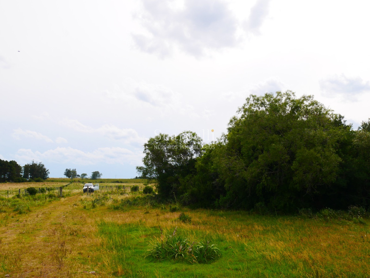 Campo Ref.40596 - VENTA CHACRA MALDONADO CON COSTA AL ARROYO JOSÉ IGNACIO