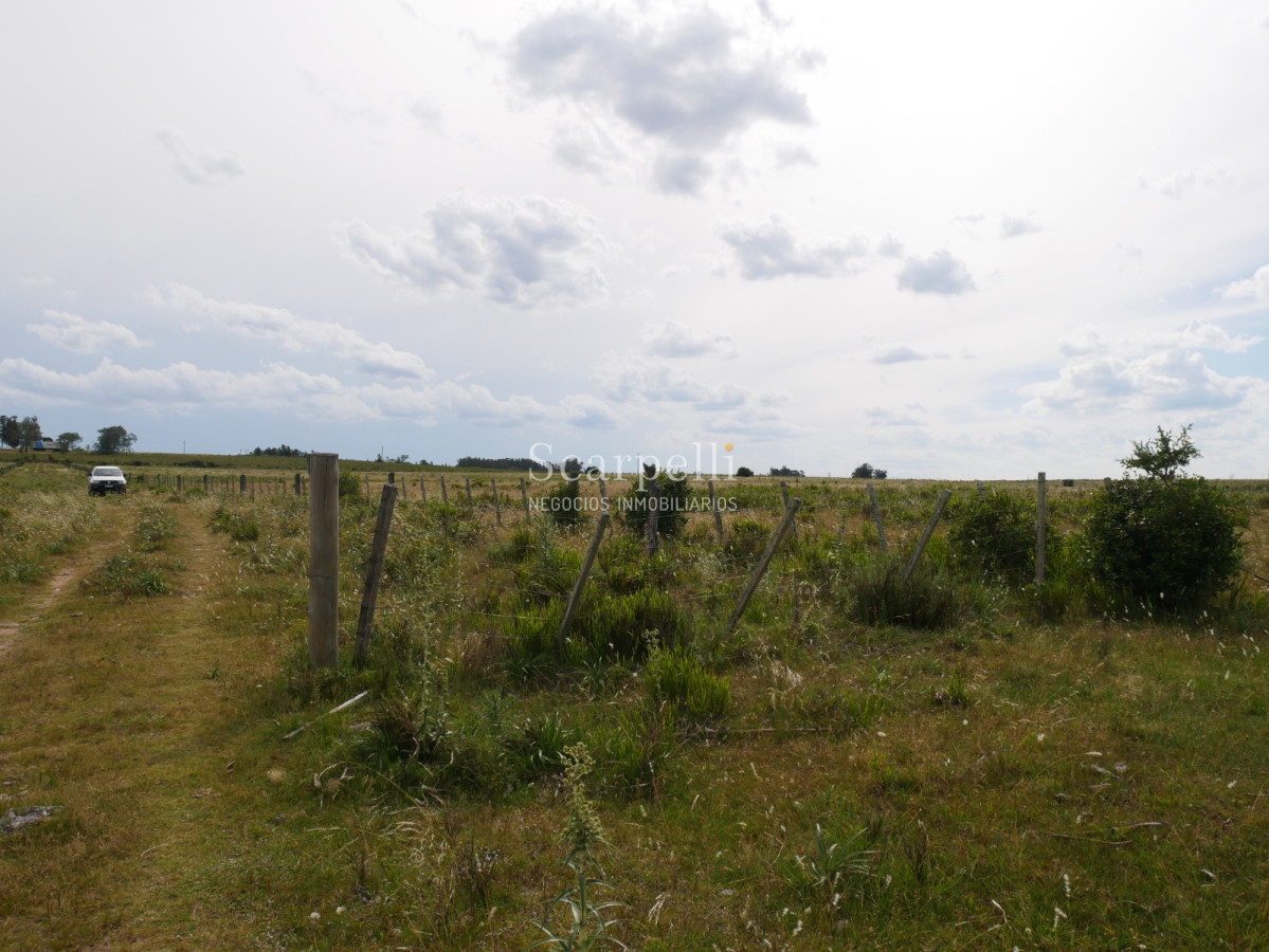 Campo Ref.40596 - VENTA CHACRA MALDONADO CON COSTA AL ARROYO JOSÉ IGNACIO