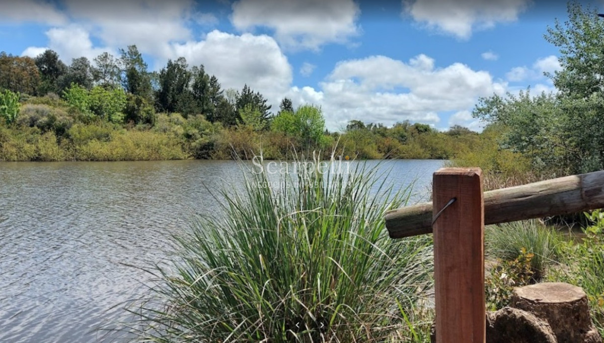 Campo Ref.40596 - VENTA CHACRA MALDONADO CON COSTA AL ARROYO JOSÉ IGNACIO