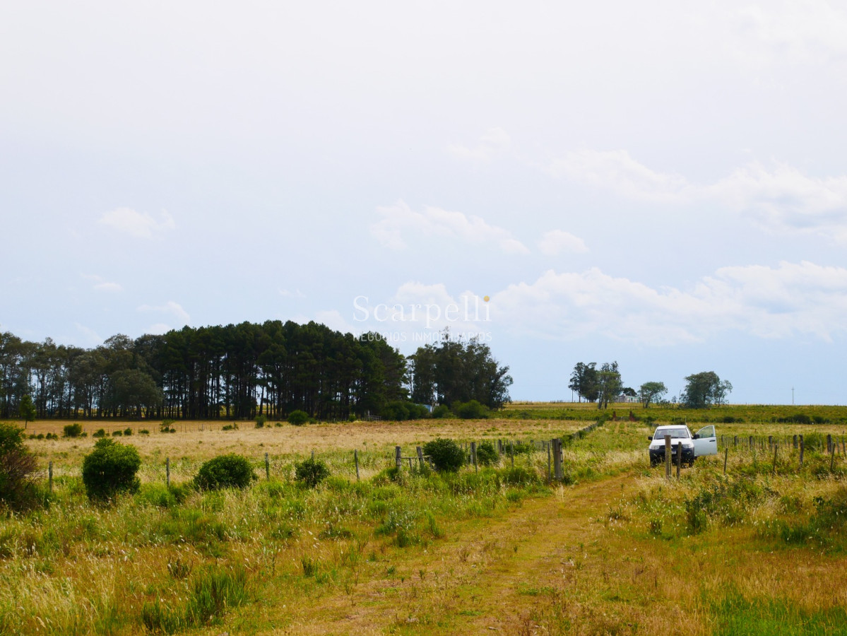 Campo Ref.40596 - VENTA CHACRA MALDONADO CON COSTA AL ARROYO JOSÉ IGNACIO