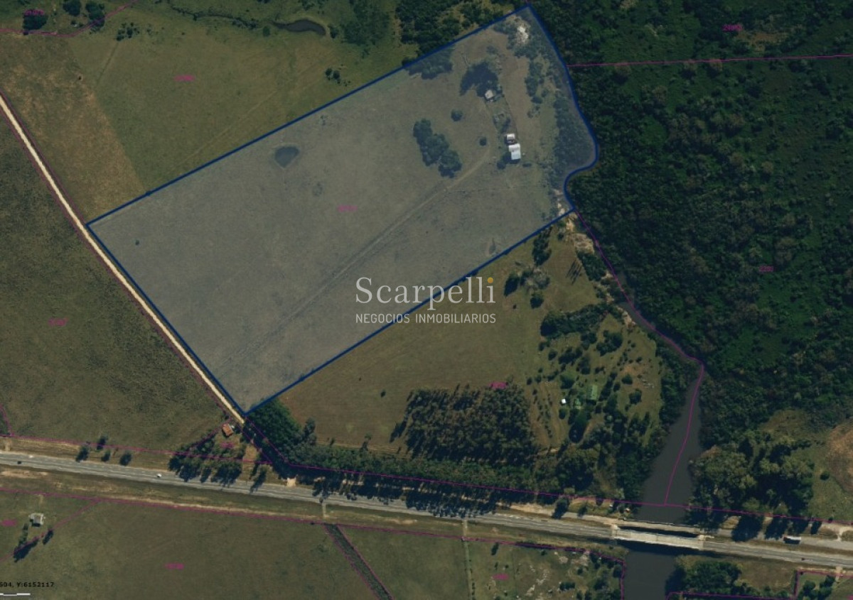 Campo Ref.40596 - VENTA CHACRA MALDONADO CON COSTA AL ARROYO JOSÉ IGNACIO
