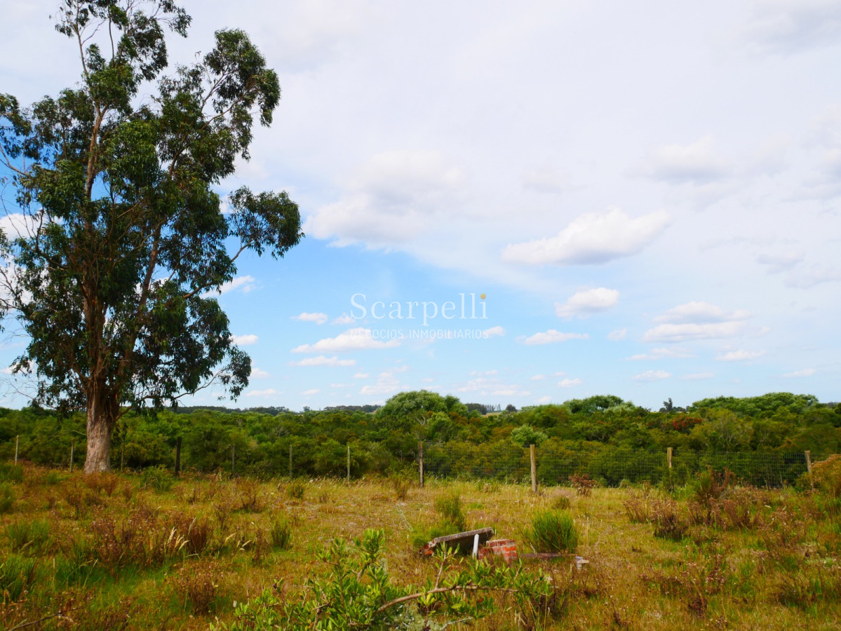 Campo Ref.40596 - VENTA CHACRA MALDONADO CON COSTA AL ARROYO JOSÉ IGNACIO