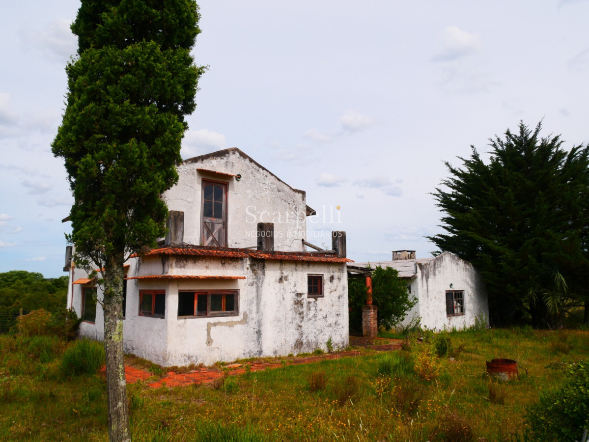Campo Ref.40596 - VENTA CHACRA MALDONADO CON COSTA AL ARROYO JOSÉ IGNACIO