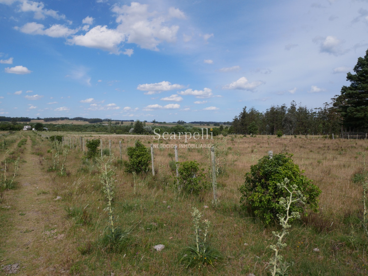 Campo Ref.40596 - VENTA CHACRA MALDONADO CON COSTA AL ARROYO JOSÉ IGNACIO