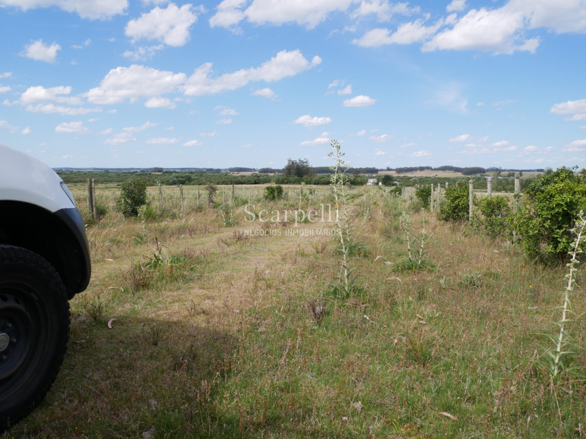 Campo Ref.40596 - VENTA CHACRA MALDONADO CON COSTA AL ARROYO JOSÉ IGNACIO