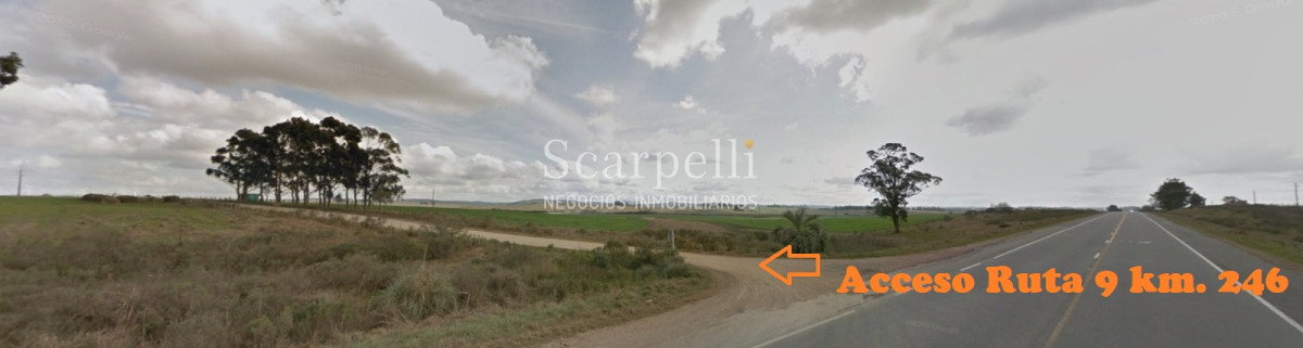 Campo Ref.40710 - VENTA CAMPO ROCHA PROXIMO LAGUNA DE CASTILLOS ENTRE 19 DE ABRIL Y CIUDAD DE CASTILLOS