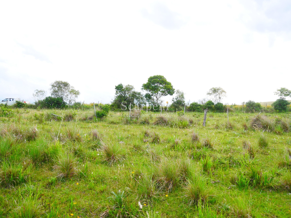 Campo Ref.40710 - VENTA CAMPO ROCHA PROXIMO LAGUNA DE CASTILLOS ENTRE 19 DE ABRIL Y CIUDAD DE CASTILLOS