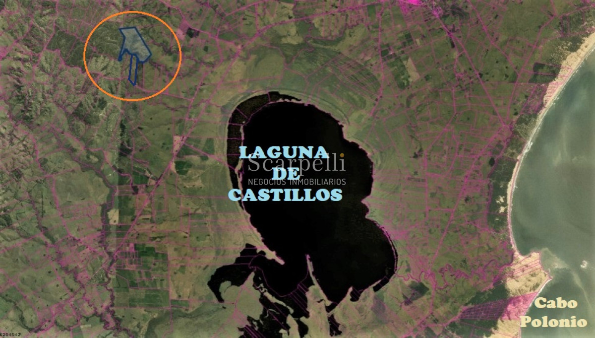 Campo Ref.40710 - VENTA CAMPO ROCHA PROXIMO LAGUNA DE CASTILLOS ENTRE 19 DE ABRIL Y CIUDAD DE CASTILLOS