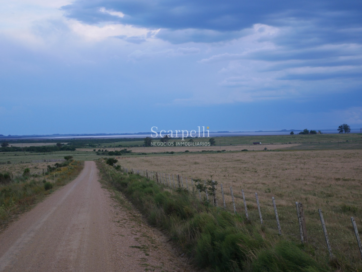 Campo Ref.40710 - VENTA CAMPO ROCHA PROXIMO LAGUNA DE CASTILLOS ENTRE 19 DE ABRIL Y CIUDAD DE CASTILLOS