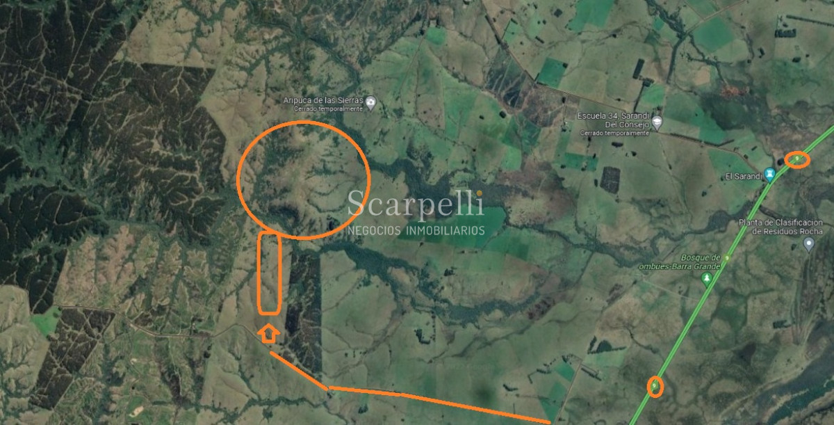 Campo Ref.40710 - VENTA CAMPO ROCHA PROXIMO LAGUNA DE CASTILLOS ENTRE 19 DE ABRIL Y CIUDAD DE CASTILLOS