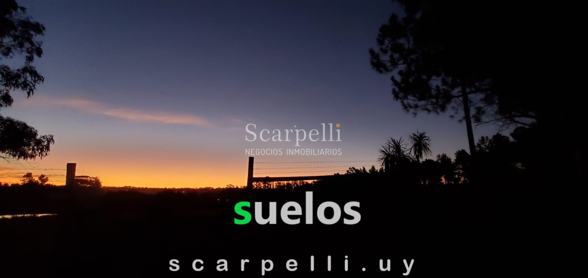 Campo Ref.40710 - VENTA CAMPO ROCHA PROXIMO LAGUNA DE CASTILLOS ENTRE 19 DE ABRIL Y CIUDAD DE CASTILLOS