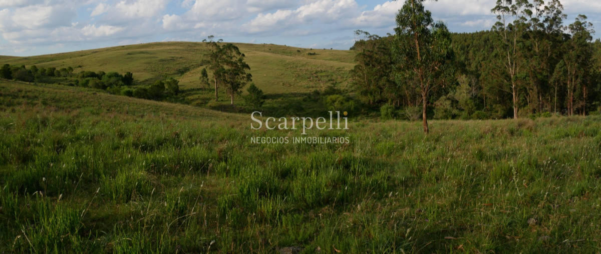 Campo Ref.40710 - VENTA CAMPO ROCHA PROXIMO LAGUNA DE CASTILLOS ENTRE 19 DE ABRIL Y CIUDAD DE CASTILLOS