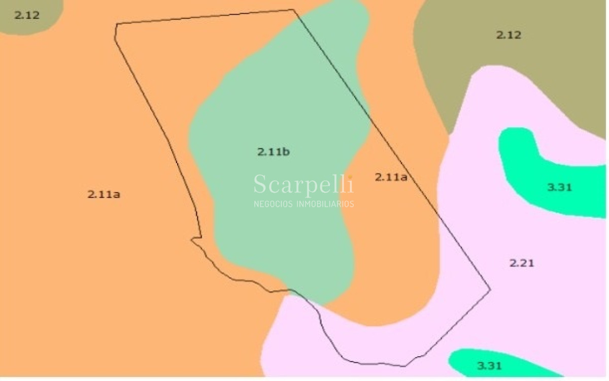 Campo Ref.40710 - VENTA CAMPO ROCHA PROXIMO LAGUNA DE CASTILLOS ENTRE 19 DE ABRIL Y CIUDAD DE CASTILLOS