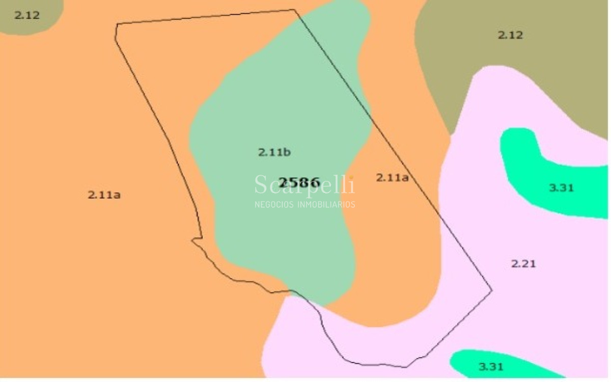 Campo Ref.40710 - VENTA CAMPO ROCHA PROXIMO LAGUNA DE CASTILLOS ENTRE 19 DE ABRIL Y CIUDAD DE CASTILLOS