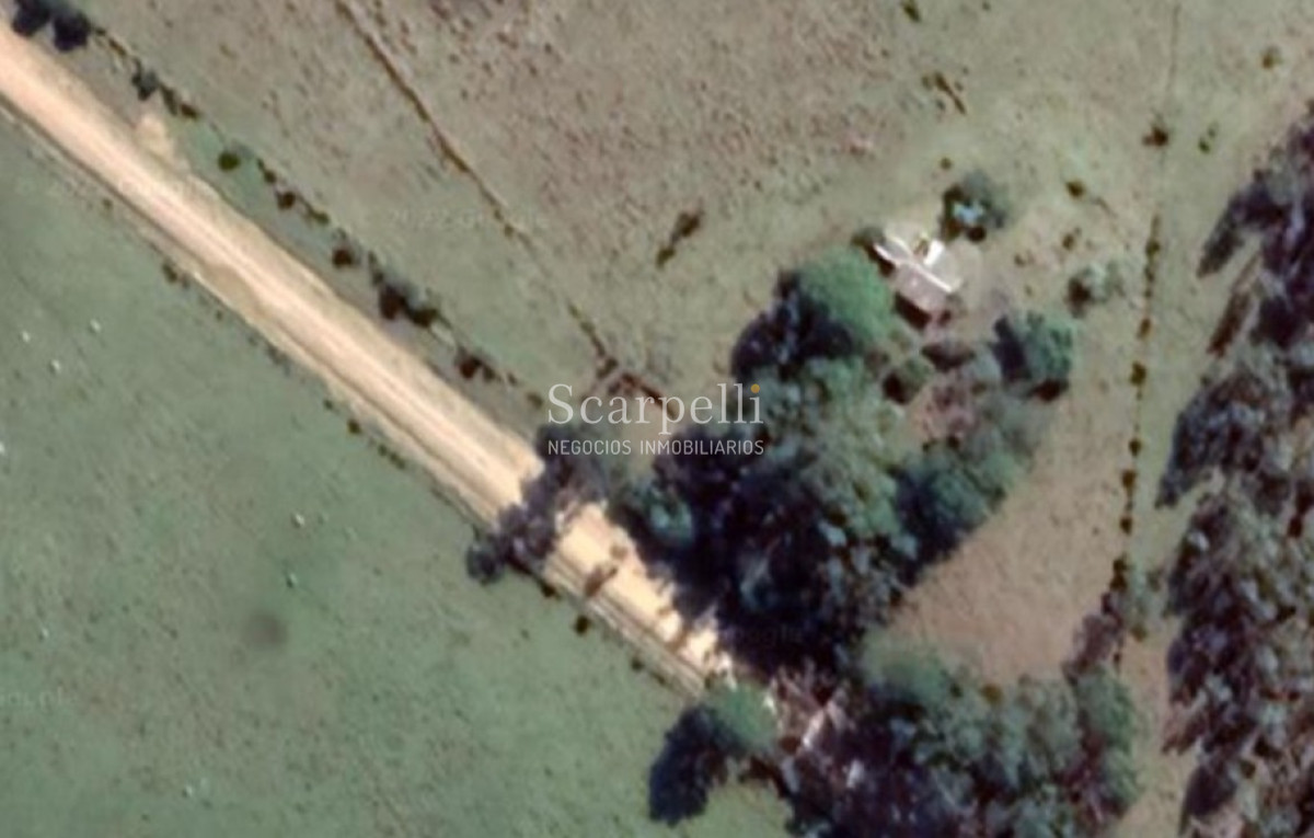 Campo Ref.40710 - VENTA CAMPO ROCHA PROXIMO LAGUNA DE CASTILLOS ENTRE 19 DE ABRIL Y CIUDAD DE CASTILLOS