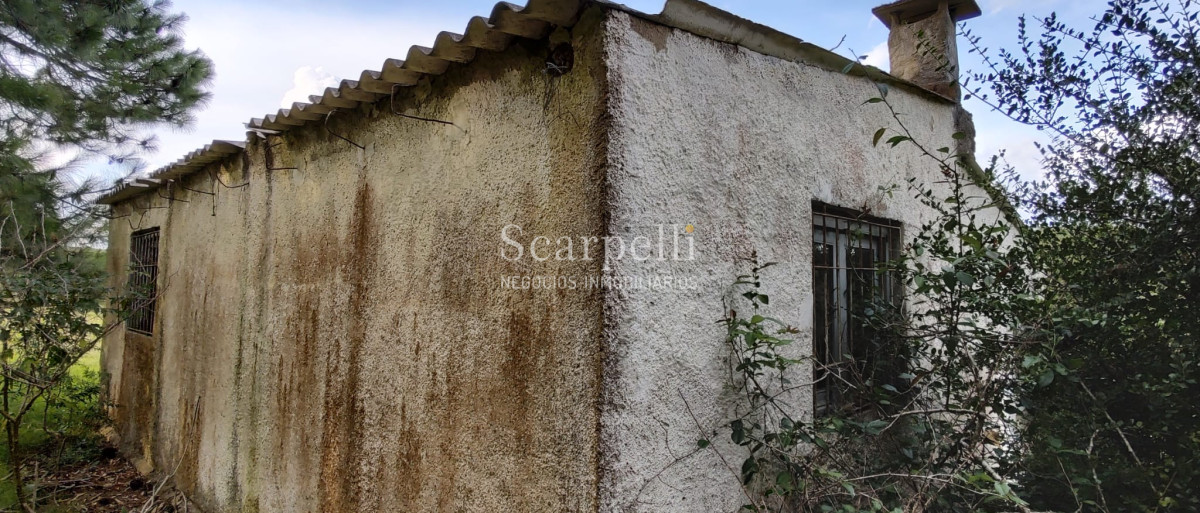 Campo Ref.40710 - VENTA CAMPO ROCHA PROXIMO LAGUNA DE CASTILLOS ENTRE 19 DE ABRIL Y CIUDAD DE CASTILLOS