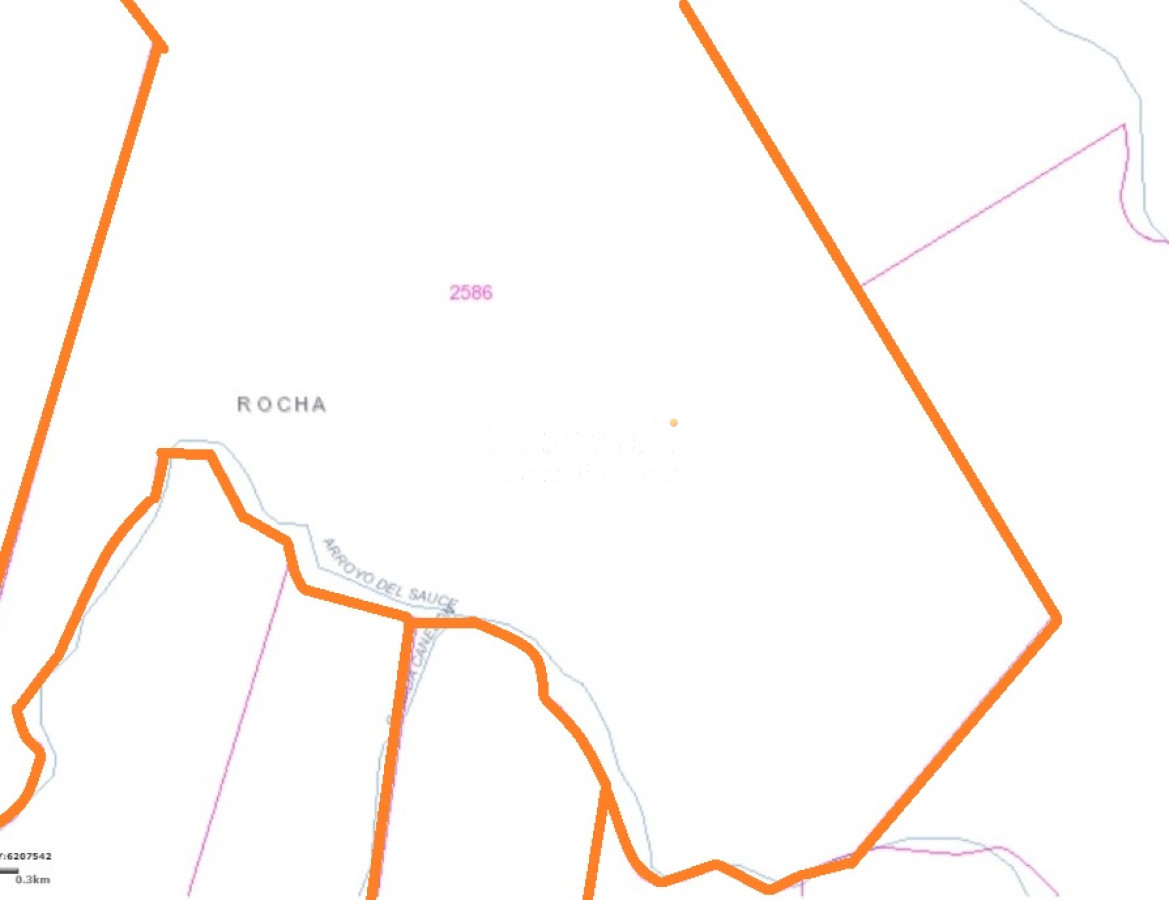 Campo Ref.40710 - VENTA CAMPO ROCHA PROXIMO LAGUNA DE CASTILLOS ENTRE 19 DE ABRIL Y CIUDAD DE CASTILLOS