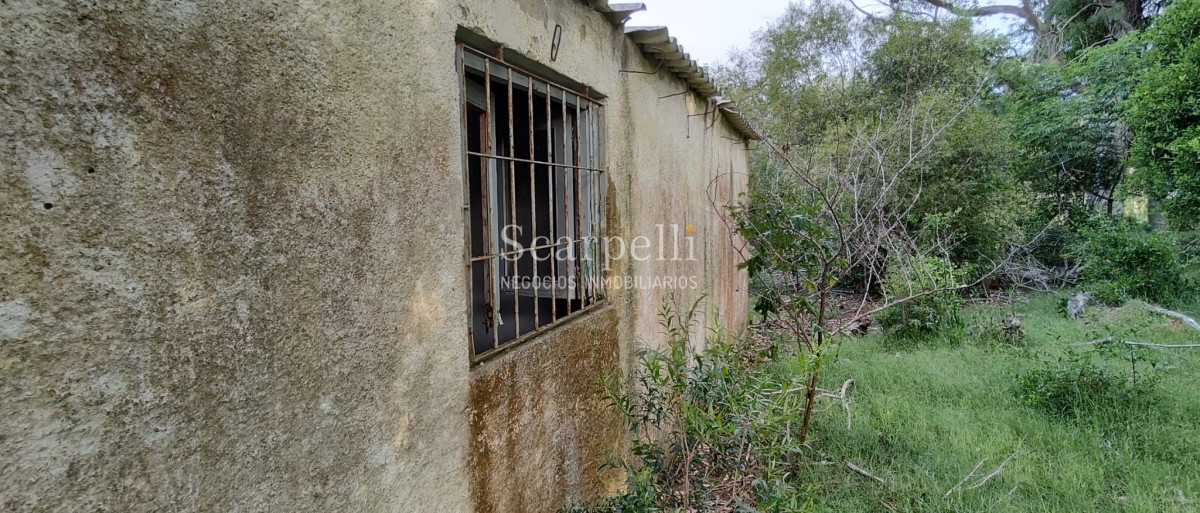 Campo Ref.40710 - VENTA CAMPO ROCHA PROXIMO LAGUNA DE CASTILLOS ENTRE 19 DE ABRIL Y CIUDAD DE CASTILLOS
