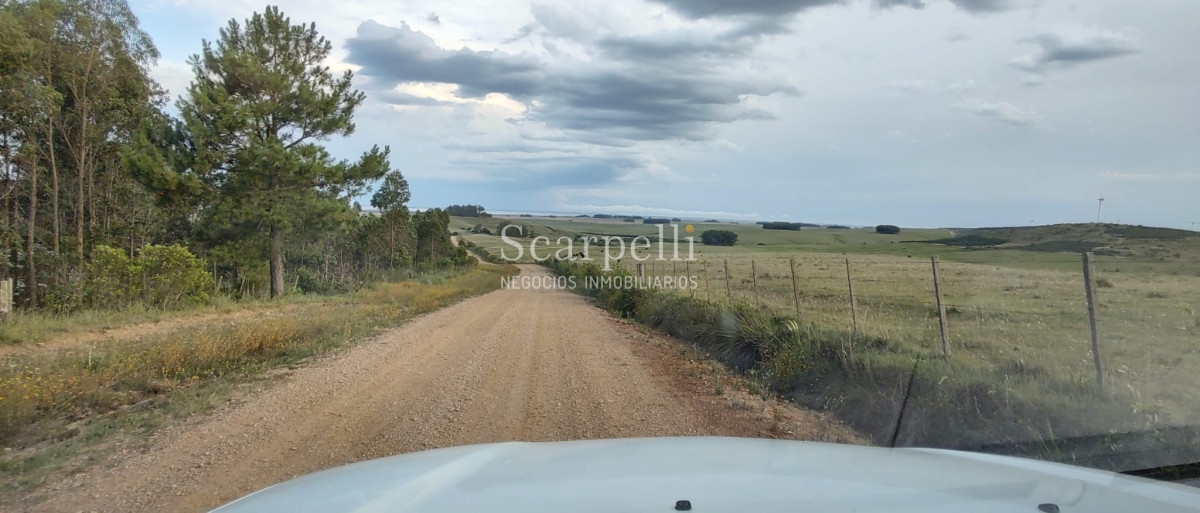 Campo Ref.40710 - VENTA CAMPO ROCHA PROXIMO LAGUNA DE CASTILLOS ENTRE 19 DE ABRIL Y CIUDAD DE CASTILLOS