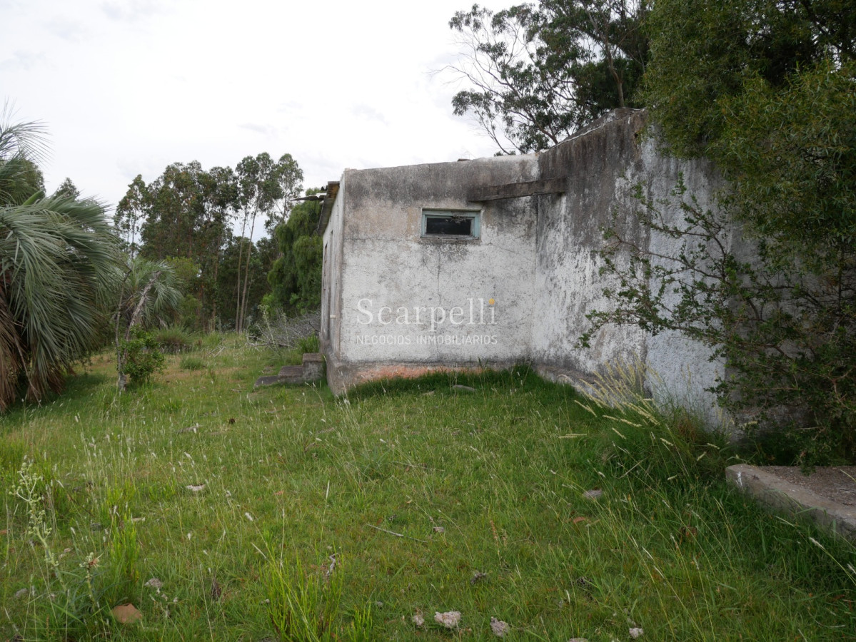 Campo Ref.40710 - VENTA CAMPO ROCHA PROXIMO LAGUNA DE CASTILLOS ENTRE 19 DE ABRIL Y CIUDAD DE CASTILLOS