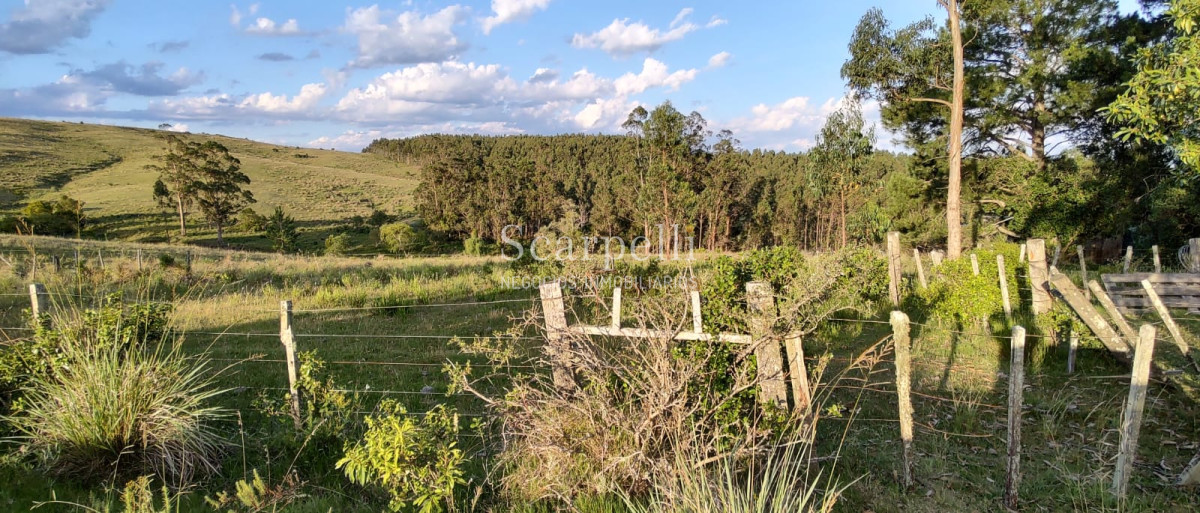Campo Ref.40710 - VENTA CAMPO ROCHA PROXIMO LAGUNA DE CASTILLOS ENTRE 19 DE ABRIL Y CIUDAD DE CASTILLOS