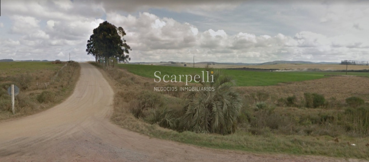 Campo Ref.40710 - VENTA CAMPO ROCHA PROXIMO LAGUNA DE CASTILLOS ENTRE 19 DE ABRIL Y CIUDAD DE CASTILLOS