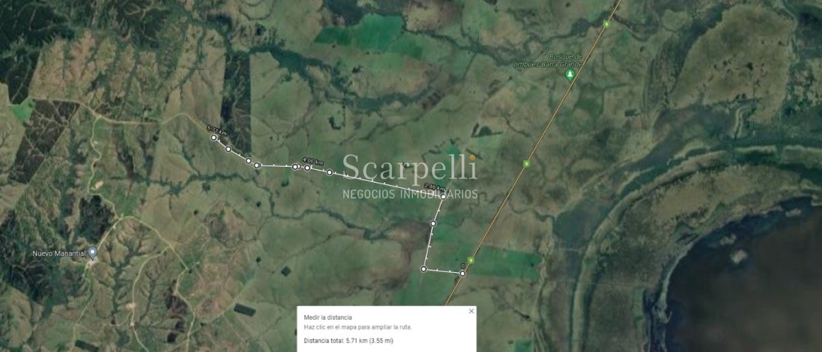 Campo Ref.40710 - VENTA CAMPO ROCHA PROXIMO LAGUNA DE CASTILLOS ENTRE 19 DE ABRIL Y CIUDAD DE CASTILLOS
