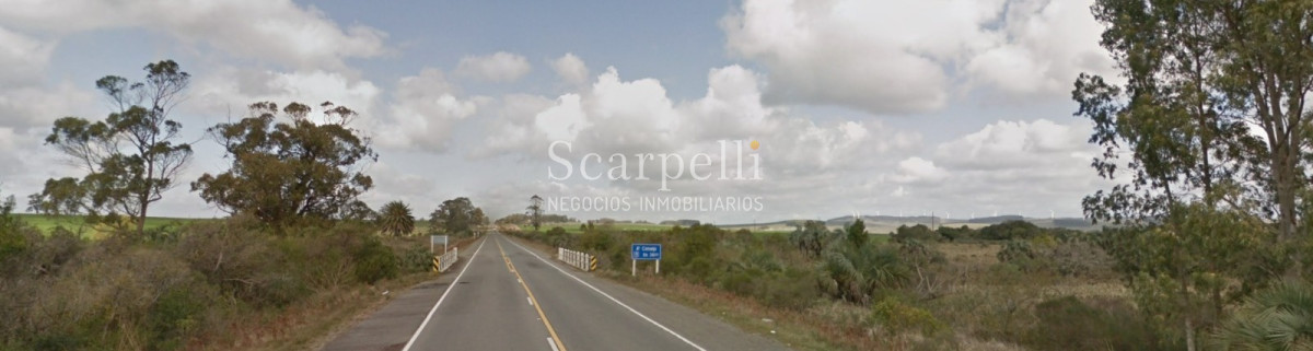 Campo Ref.40710 - VENTA CAMPO ROCHA PROXIMO LAGUNA DE CASTILLOS ENTRE 19 DE ABRIL Y CIUDAD DE CASTILLOS