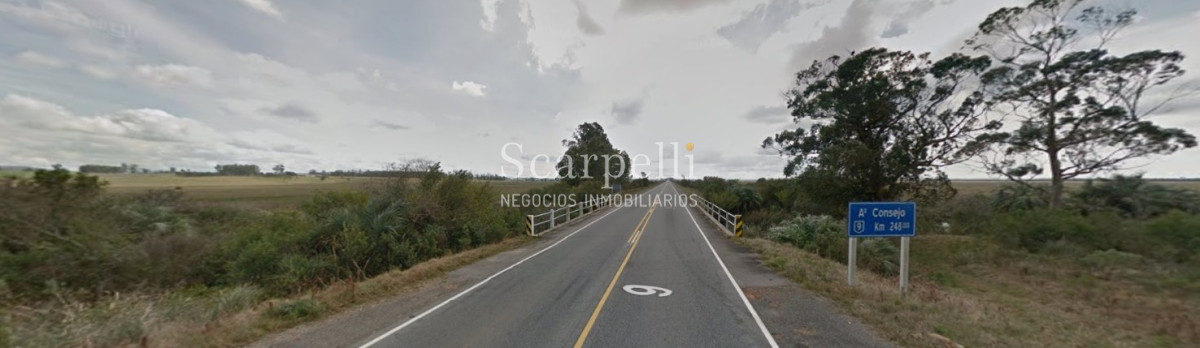 Campo Ref.40710 - VENTA CAMPO ROCHA PROXIMO LAGUNA DE CASTILLOS ENTRE 19 DE ABRIL Y CIUDAD DE CASTILLOS