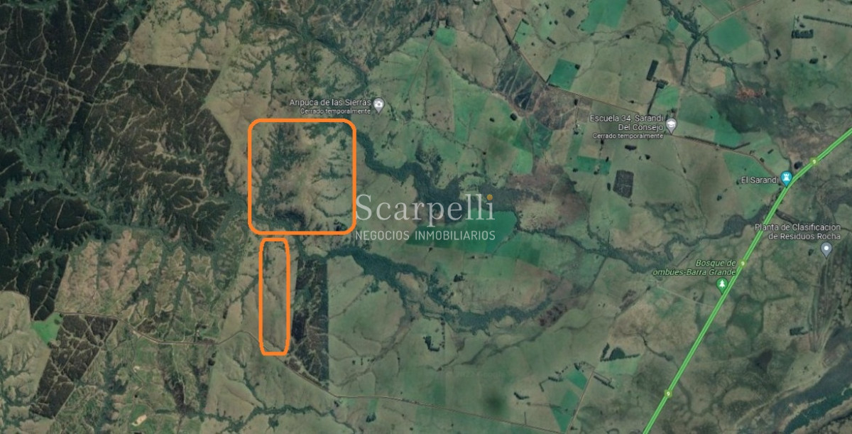 Campo Ref.40710 - VENTA CAMPO ROCHA PROXIMO LAGUNA DE CASTILLOS ENTRE 19 DE ABRIL Y CIUDAD DE CASTILLOS