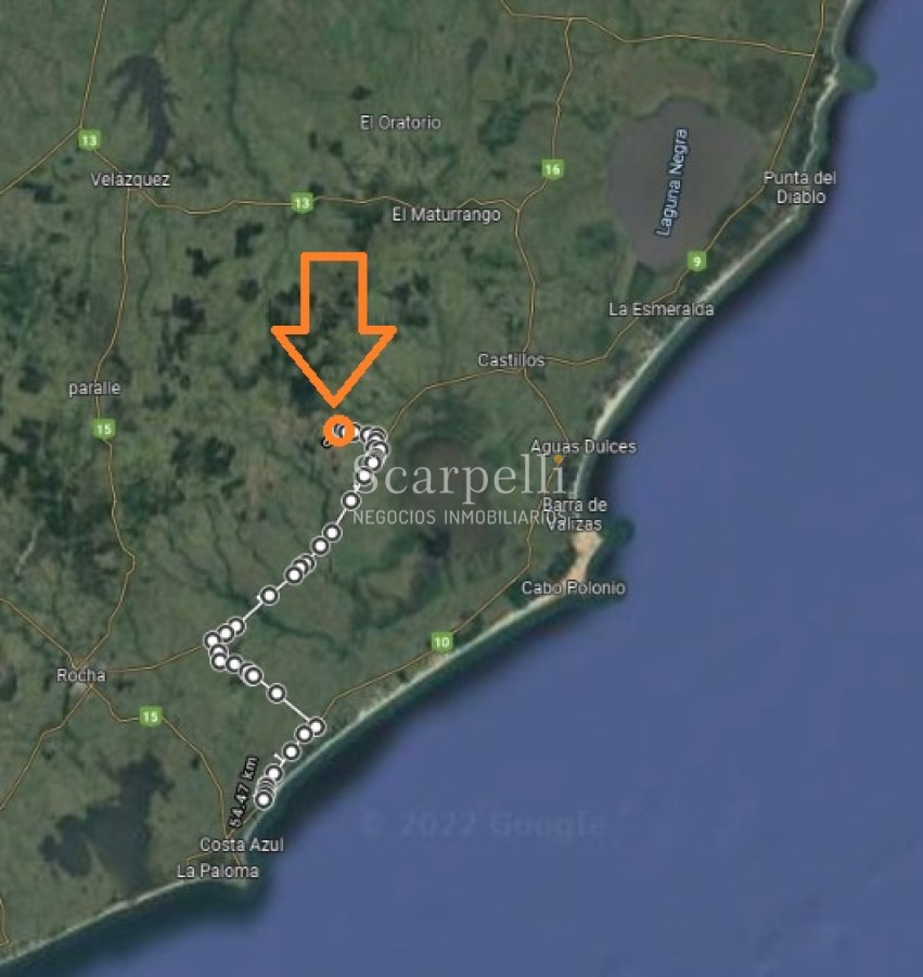 Campo Ref.40710 - VENTA CAMPO ROCHA PROXIMO LAGUNA DE CASTILLOS ENTRE 19 DE ABRIL Y CIUDAD DE CASTILLOS