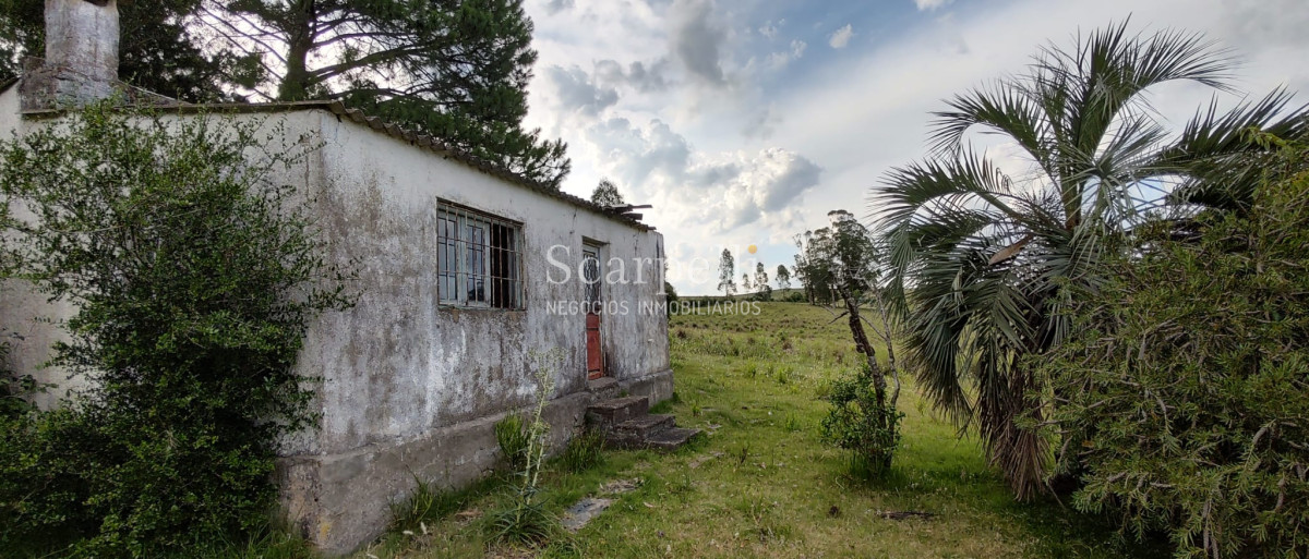 Campo Ref.40710 - VENTA CAMPO ROCHA PROXIMO LAGUNA DE CASTILLOS ENTRE 19 DE ABRIL Y CIUDAD DE CASTILLOS