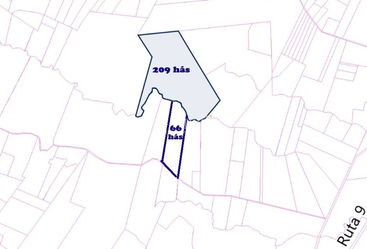 Campo Ref.40710 - VENTA CAMPO ROCHA PROXIMO LAGUNA DE CASTILLOS ENTRE 19 DE ABRIL Y CIUDAD DE CASTILLOS