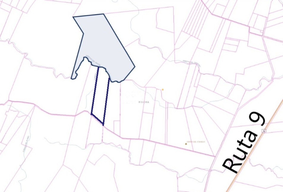 Campo Ref.40710 - VENTA CAMPO ROCHA PROXIMO LAGUNA DE CASTILLOS ENTRE 19 DE ABRIL Y CIUDAD DE CASTILLOS
