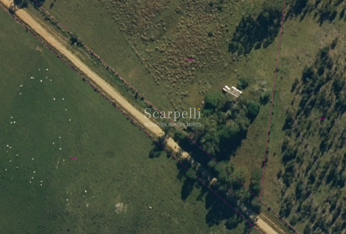 Campo Ref.40710 - VENTA CAMPO ROCHA PROXIMO LAGUNA DE CASTILLOS ENTRE 19 DE ABRIL Y CIUDAD DE CASTILLOS
