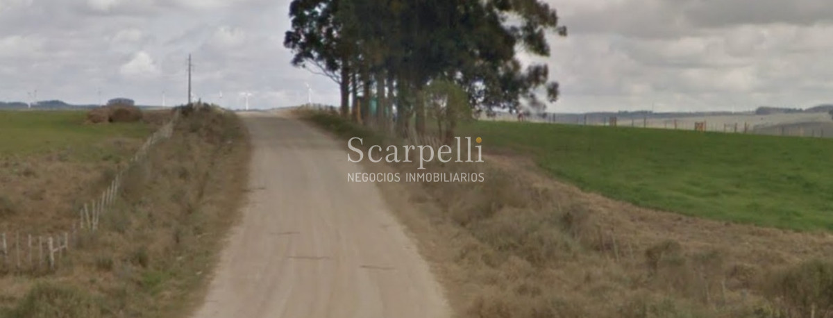 Campo Ref.40710 - VENTA CAMPO ROCHA PROXIMO LAGUNA DE CASTILLOS ENTRE 19 DE ABRIL Y CIUDAD DE CASTILLOS