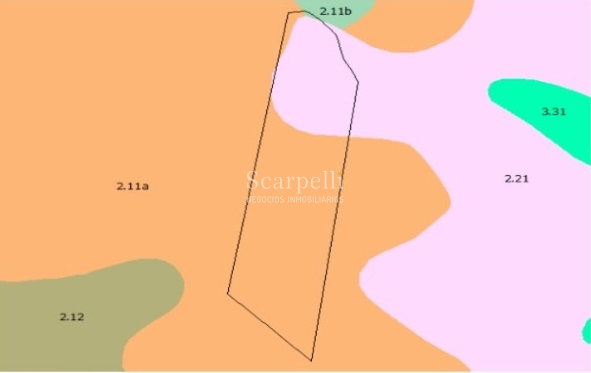 Campo Ref.40710 - VENTA CAMPO ROCHA PROXIMO LAGUNA DE CASTILLOS ENTRE 19 DE ABRIL Y CIUDAD DE CASTILLOS