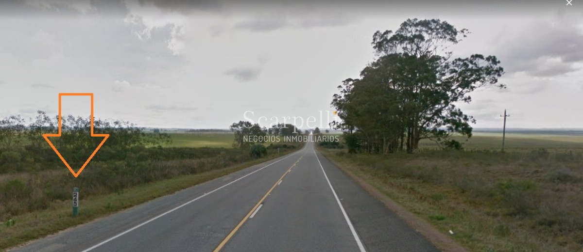 Campo Ref.40710 - VENTA CAMPO ROCHA PROXIMO LAGUNA DE CASTILLOS ENTRE 19 DE ABRIL Y CIUDAD DE CASTILLOS