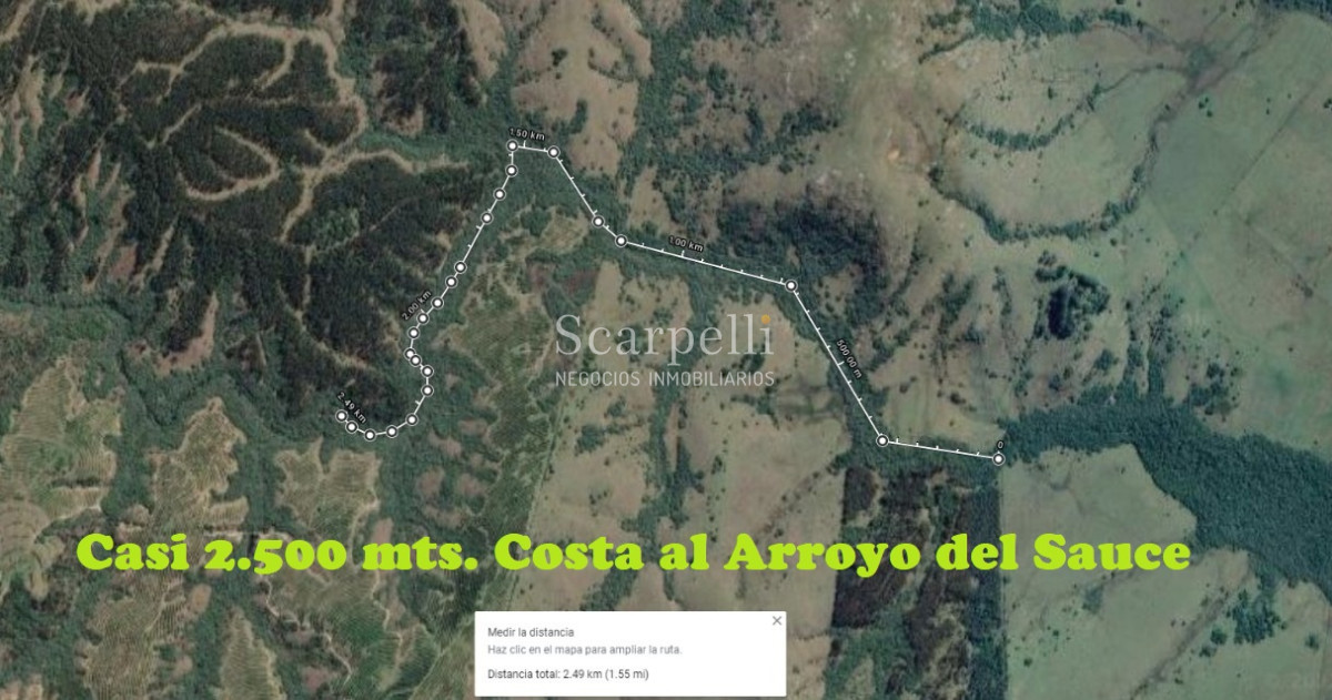 Campo Ref.40710 - VENTA CAMPO ROCHA PROXIMO LAGUNA DE CASTILLOS ENTRE 19 DE ABRIL Y CIUDAD DE CASTILLOS