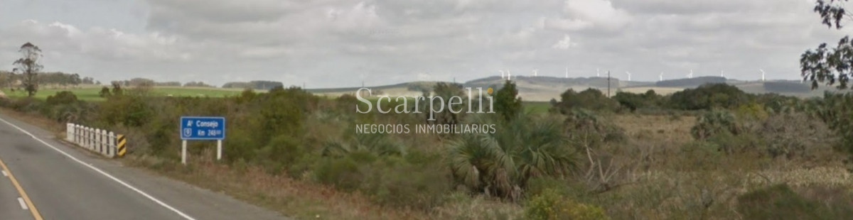 Campo Ref.40710 - VENTA CAMPO ROCHA PROXIMO LAGUNA DE CASTILLOS ENTRE 19 DE ABRIL Y CIUDAD DE CASTILLOS