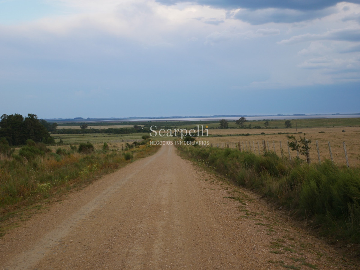 Campo Ref.40710 - VENTA CAMPO ROCHA PROXIMO LAGUNA DE CASTILLOS ENTRE 19 DE ABRIL Y CIUDAD DE CASTILLOS