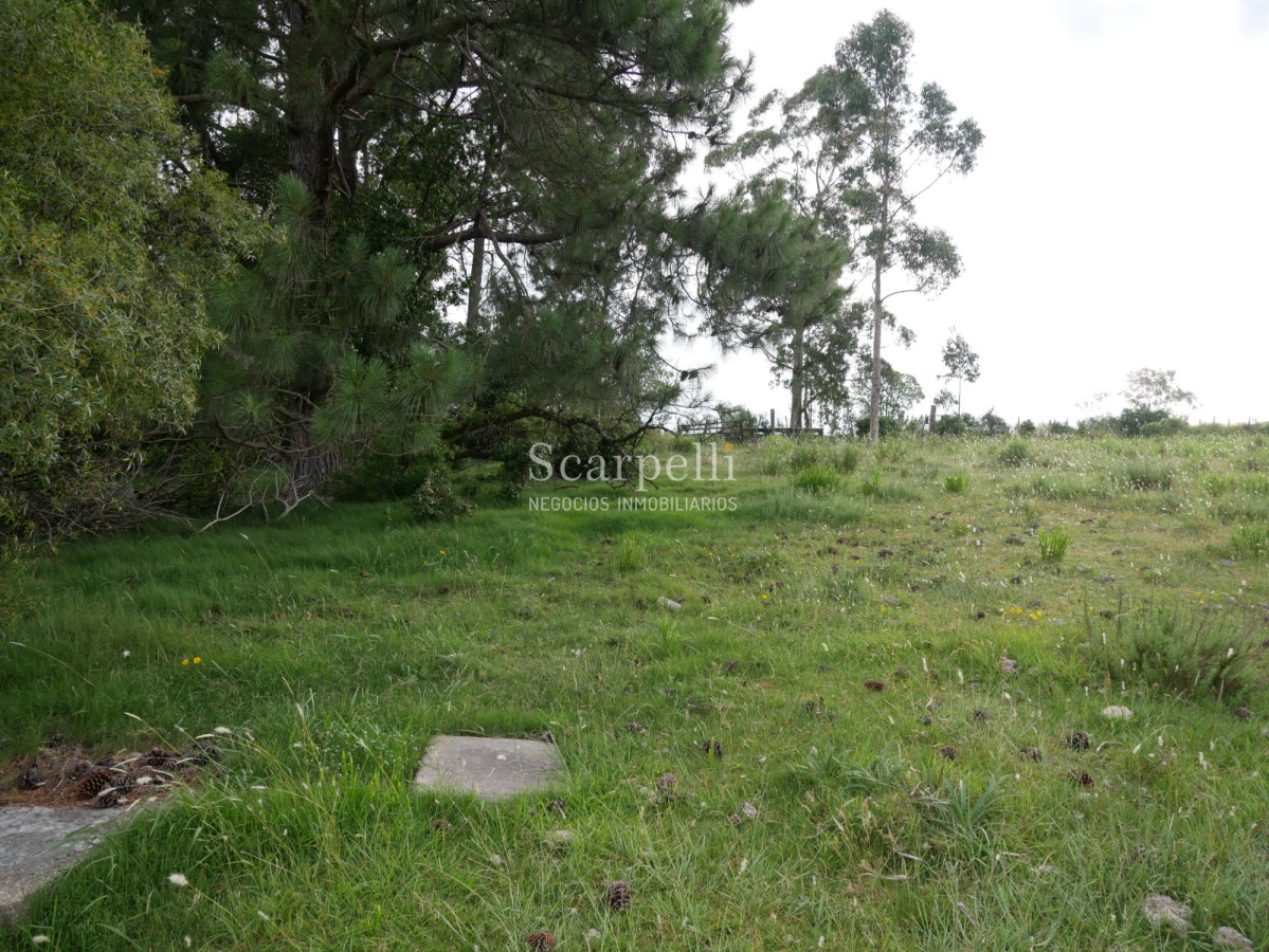 Campo Ref.40710 - VENTA CAMPO ROCHA PROXIMO LAGUNA DE CASTILLOS ENTRE 19 DE ABRIL Y CIUDAD DE CASTILLOS