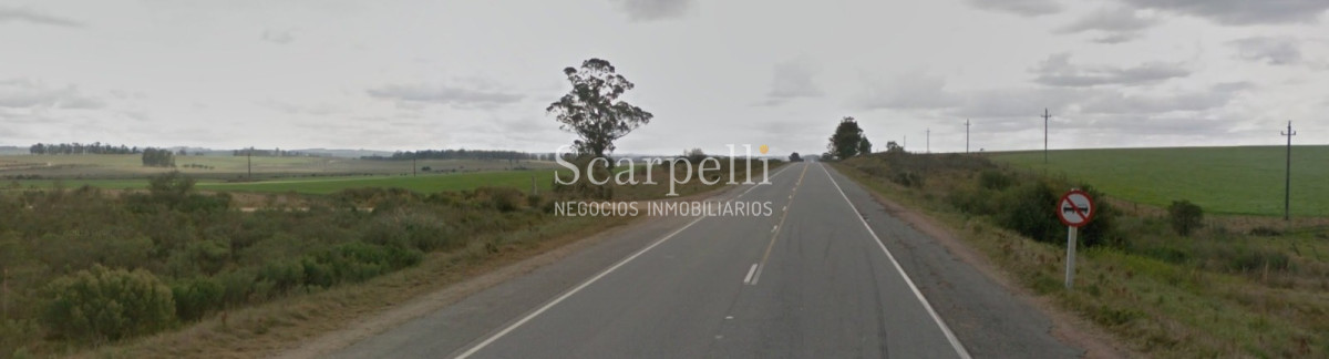 Campo Ref.40710 - VENTA CAMPO ROCHA PROXIMO LAGUNA DE CASTILLOS ENTRE 19 DE ABRIL Y CIUDAD DE CASTILLOS