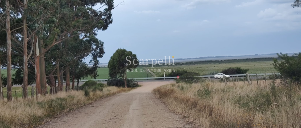 Campo Ref.40710 - VENTA CAMPO ROCHA PROXIMO LAGUNA DE CASTILLOS ENTRE 19 DE ABRIL Y CIUDAD DE CASTILLOS