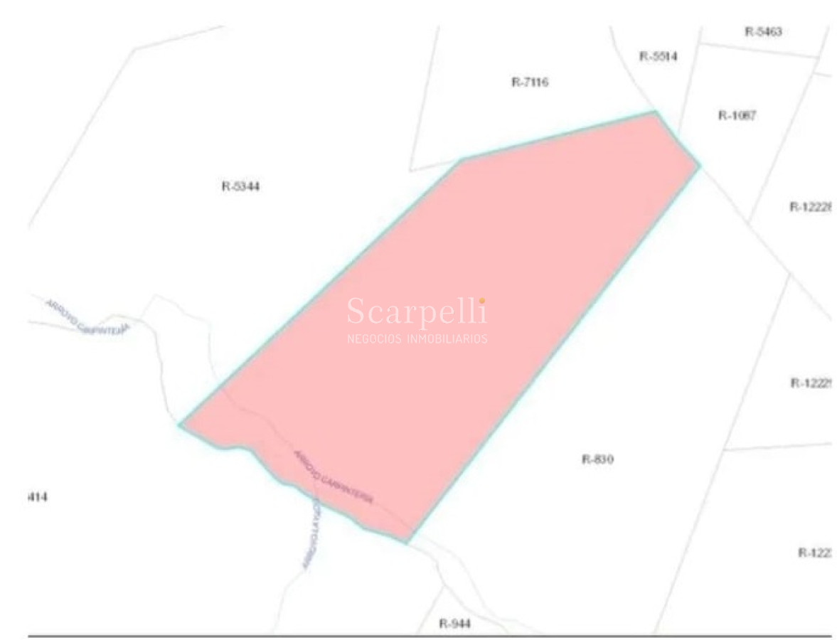 Campo Ref.41721 - VENTA CAMPO TACUAREMBÓ PRÓXIMO PASO DEL CERRO  213 HÁS CON COSTA ARROYO CARPINTERÍA E IMPORTANTE MONTE INDÍGENA.-