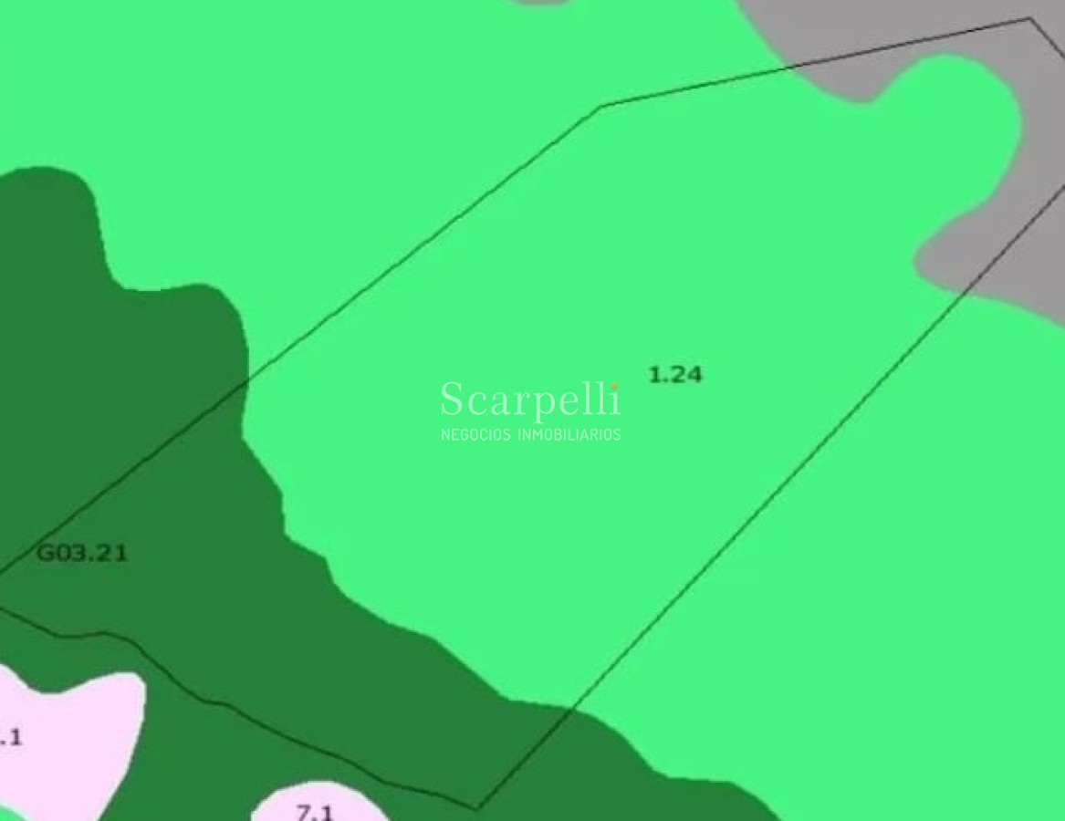 Campo Ref.41721 - VENTA CAMPO TACUAREMBÓ PRÓXIMO PASO DEL CERRO  213 HÁS CON COSTA ARROYO CARPINTERÍA E IMPORTANTE MONTE INDÍGENA.-