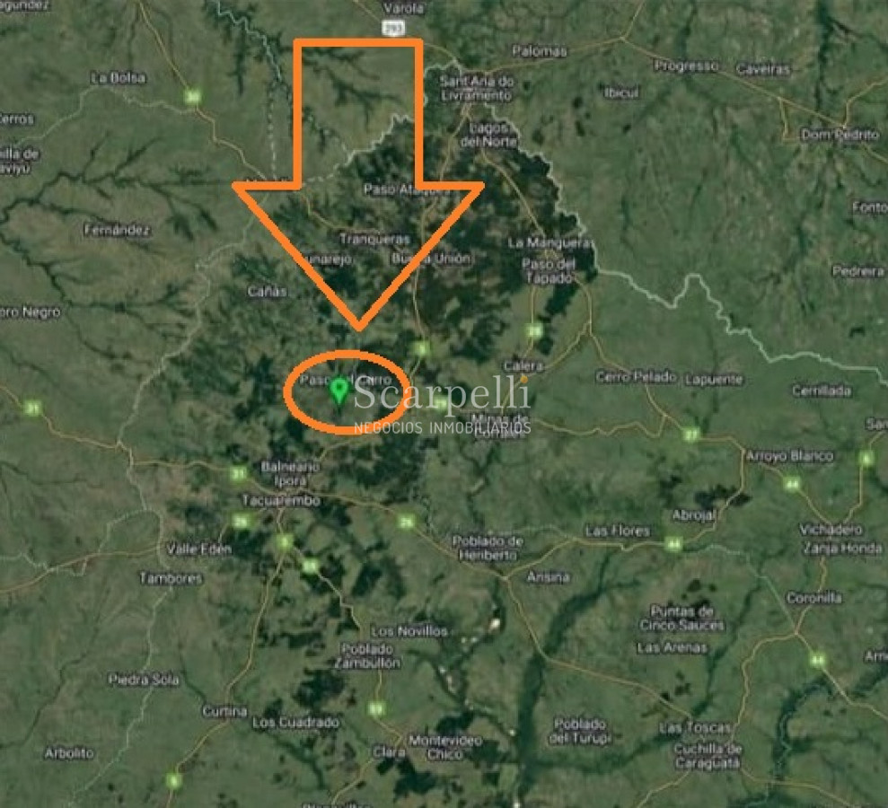 Campo Ref.41721 - VENTA CAMPO TACUAREMBÓ PRÓXIMO PASO DEL CERRO  213 HÁS CON COSTA ARROYO CARPINTERÍA E IMPORTANTE MONTE INDÍGENA.-