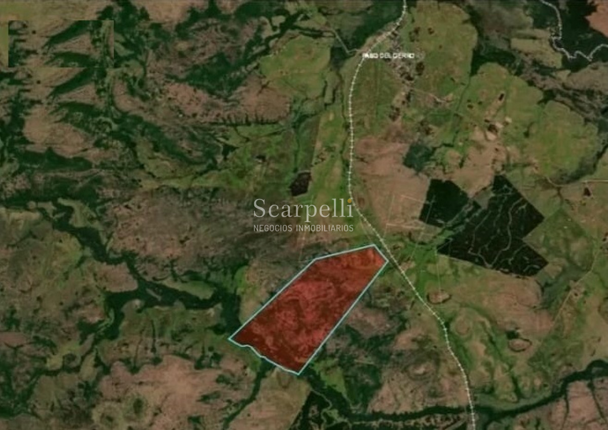 Campo Ref.41721 - VENTA CAMPO TACUAREMBÓ PRÓXIMO PASO DEL CERRO  213 HÁS CON COSTA ARROYO CARPINTERÍA E IMPORTANTE MONTE INDÍGENA.-