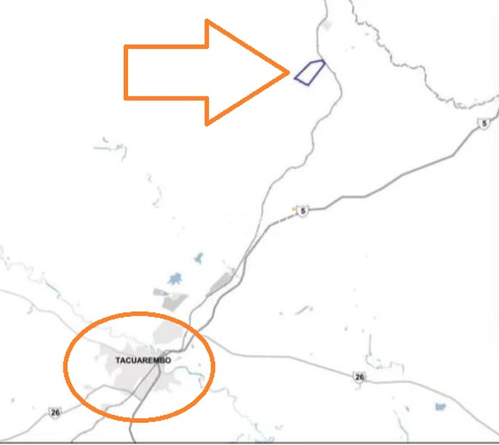 Campo Ref.41721 - VENTA CAMPO TACUAREMBÓ PRÓXIMO PASO DEL CERRO  213 HÁS CON COSTA ARROYO CARPINTERÍA E IMPORTANTE MONTE INDÍGENA.-
