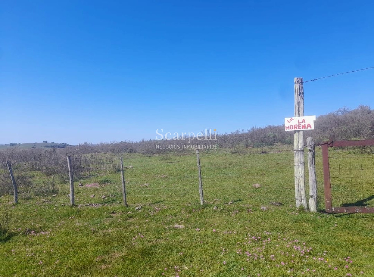 Campo Ref.41721 - VENTA CAMPO TACUAREMBÓ PRÓXIMO PASO DEL CERRO  213 HÁS CON COSTA ARROYO CARPINTERÍA E IMPORTANTE MONTE INDÍGENA.-